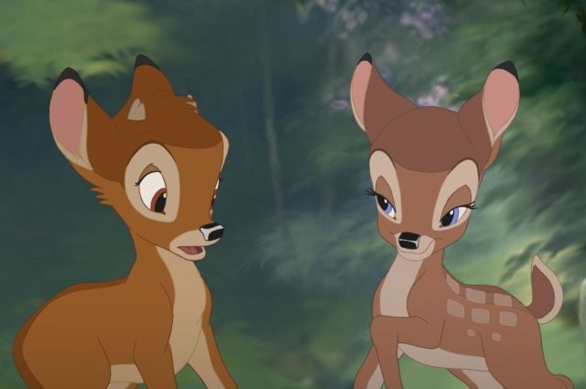 Imgenes de bambi versin porno