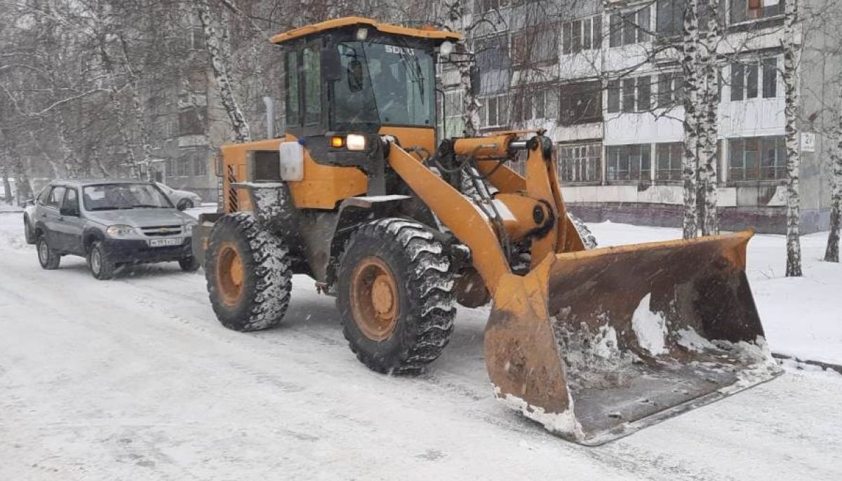 Астролог Барнаул