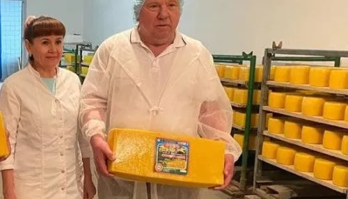 Депутаты Госдумы Владимир Шаманов своими руками изготовил алтайский сыр