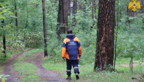 В Алтайском крае девять пропавших в ноябре людей до сих пор не найдены