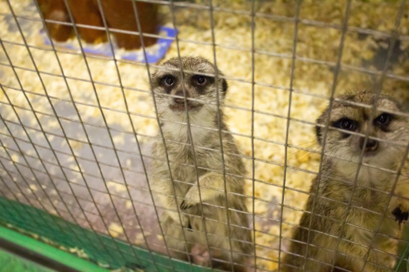 Фото:ТОЛК/Анна Меньшикова