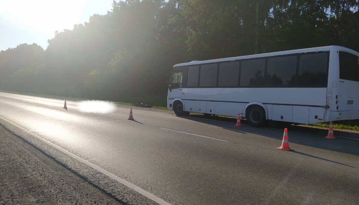 В Новосибирске в ДТП погиб 57-летний водитель автобуса - Толк 13.07.2021