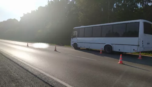 Под Новосибирском иномарка насмерть сбила менявшего колесо водителя автобуса