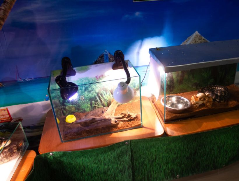  Фото:ТОЛК/Анна Меньшикова