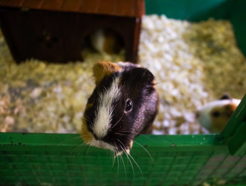  Фото:ТОЛК/Анна Меньшикова