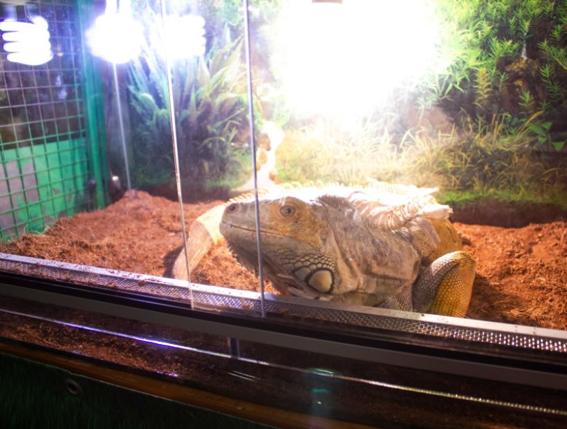  Фото:ТОЛК/Анна Меньшикова