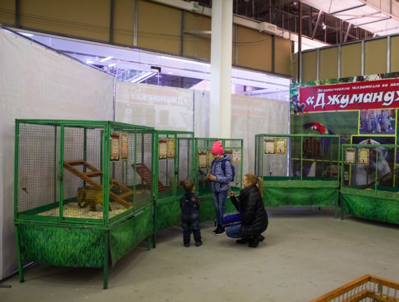  Фото:ТОЛК/Анна Меньшикова