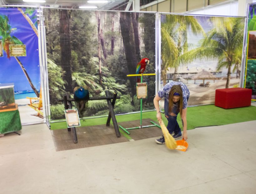  Фото:ТОЛК/Анна Меньшикова