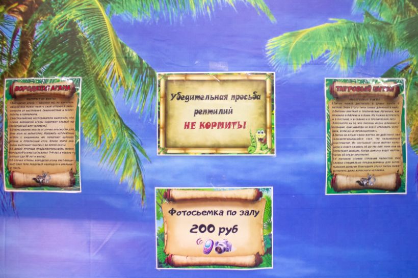  Фото:ТОЛК/Анна Меньшикова