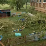 На Алтае буря с градом поломала деревья и побила стекла домов и машин