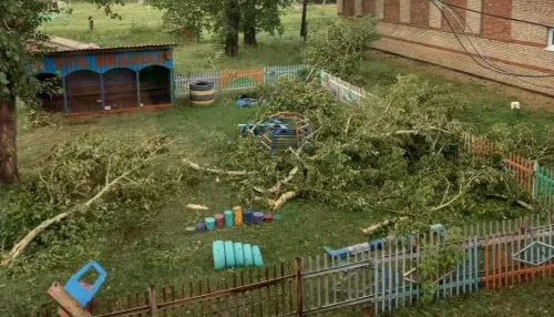 На Алтае буря с градом поломала деревья и побила стекла домов и машин