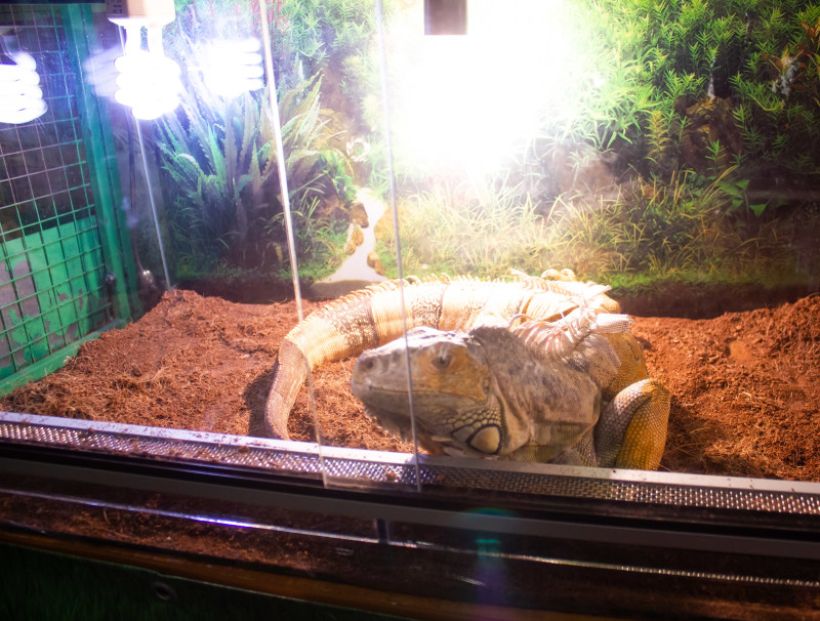  Фото:ТОЛК/Анна Меньшикова