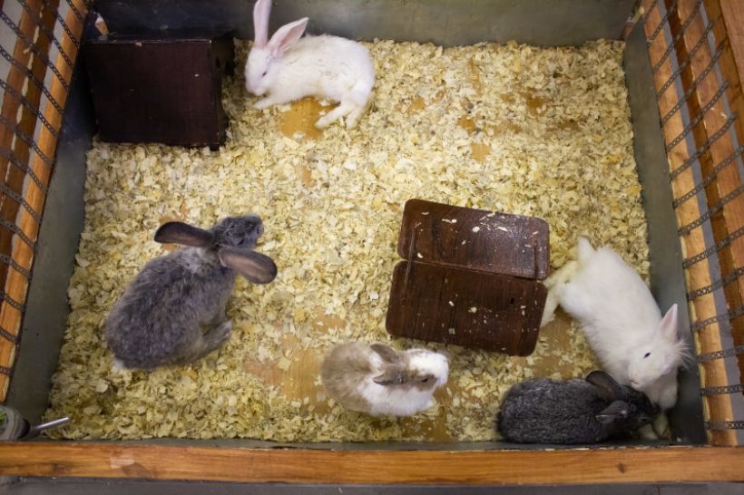  Фото:ТОЛК/Анна Меньшикова