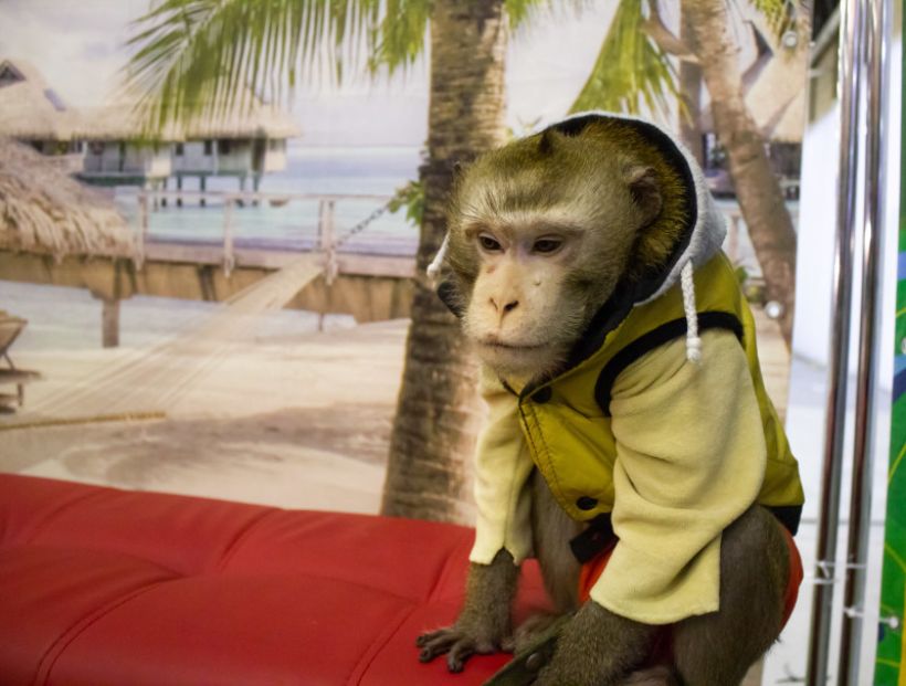  Фото:ТОЛК/Анна Меньшикова