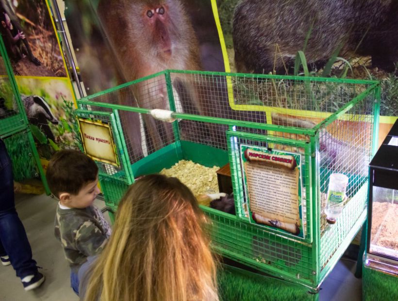  Фото:ТОЛК/Анна Меньшикова