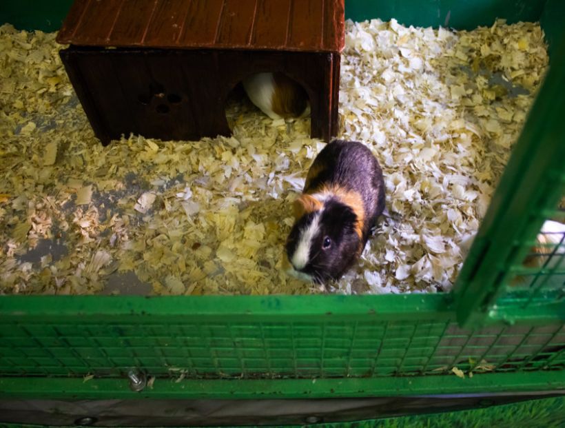  Фото:ТОЛК/Анна Меньшикова