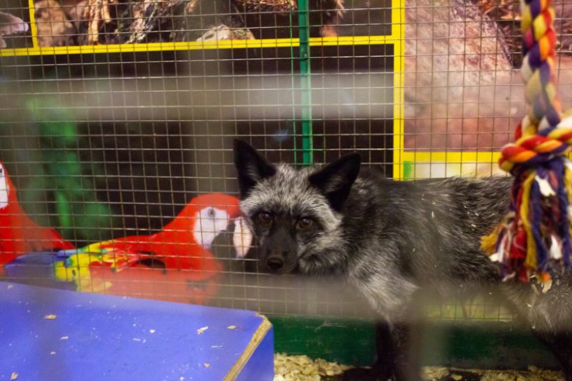  Фото:ТОЛК/Анна Меньшикова