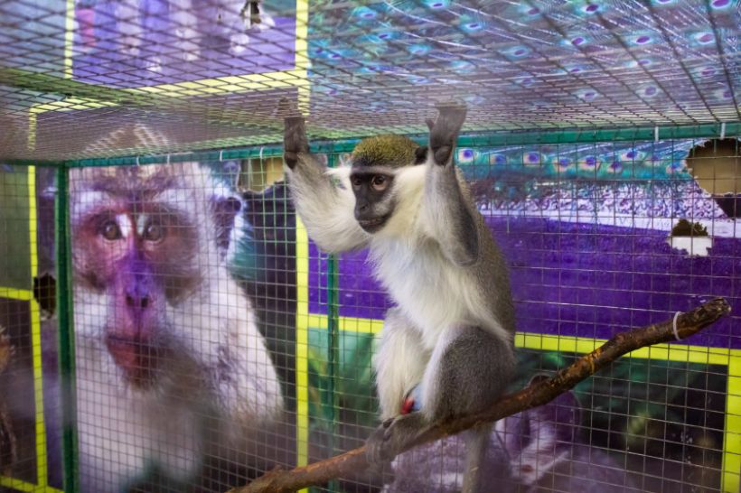  Фото:ТОЛК/Анна Меньшикова