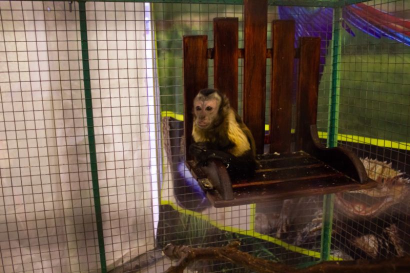  Фото:ТОЛК/Анна Меньшикова