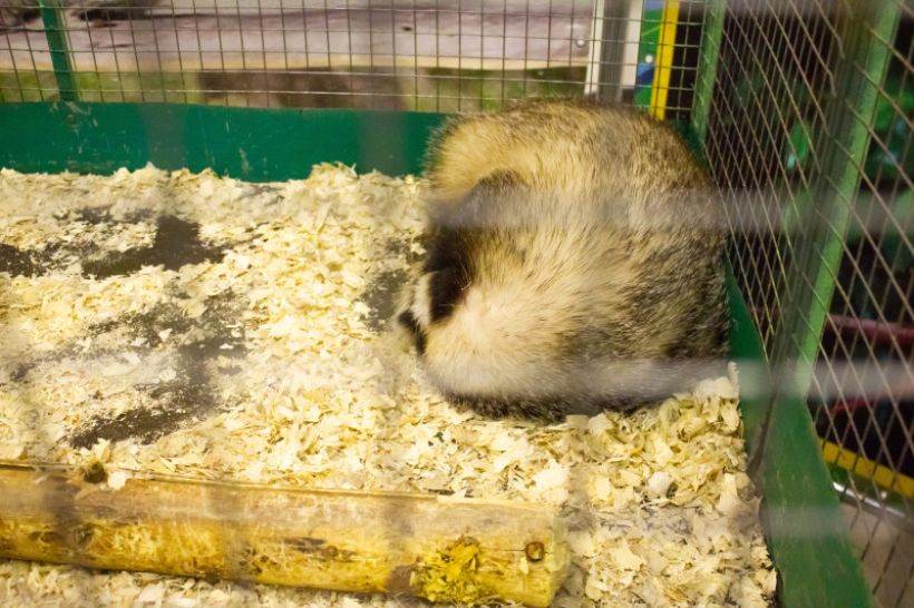  Фото:ТОЛК/Анна Меньшикова