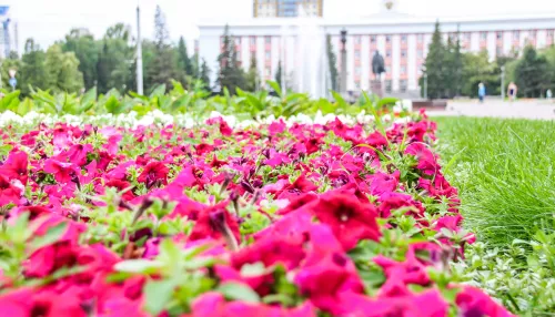 Прохлада и местами дожди с грозами ожидаются в Алтайском крае 13 июля