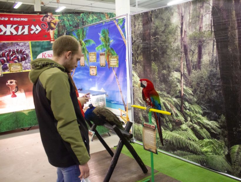  Фото:ТОЛК/Анна Меньшикова