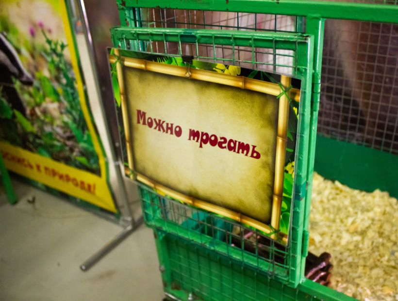  Фото:ТОЛК/Анна Меньшикова