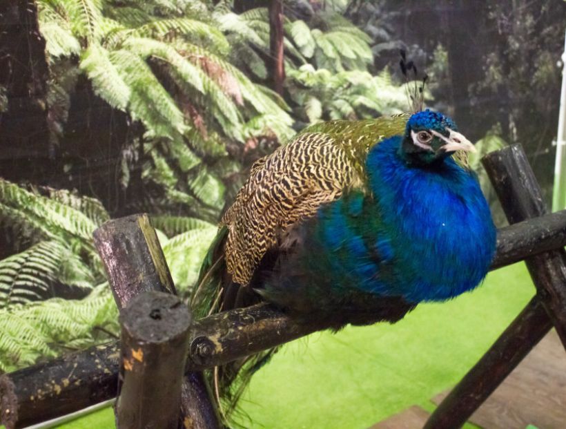  Фото:ТОЛК/Анна Меньшикова