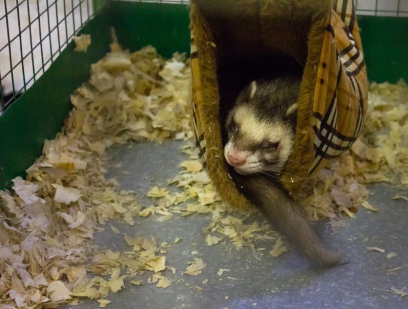  Фото:ТОЛК/Анна Меньшикова