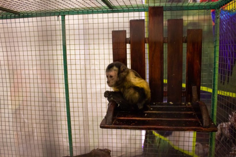  Фото:ТОЛК/Анна Меньшикова