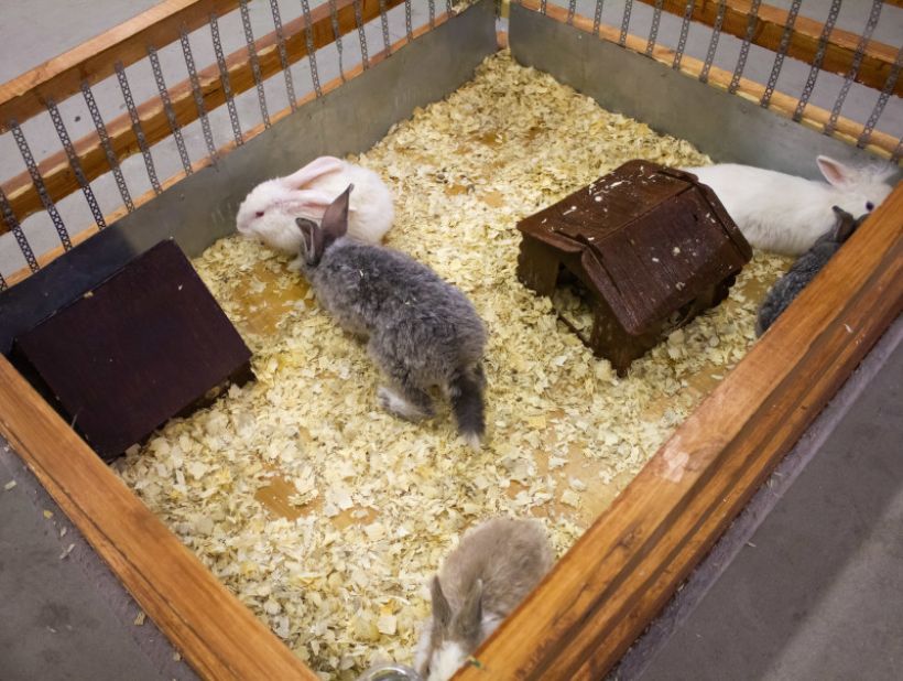  Фото:ТОЛК/Анна Меньшикова