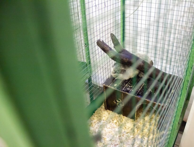  Фото:ТОЛК/Анна Меньшикова