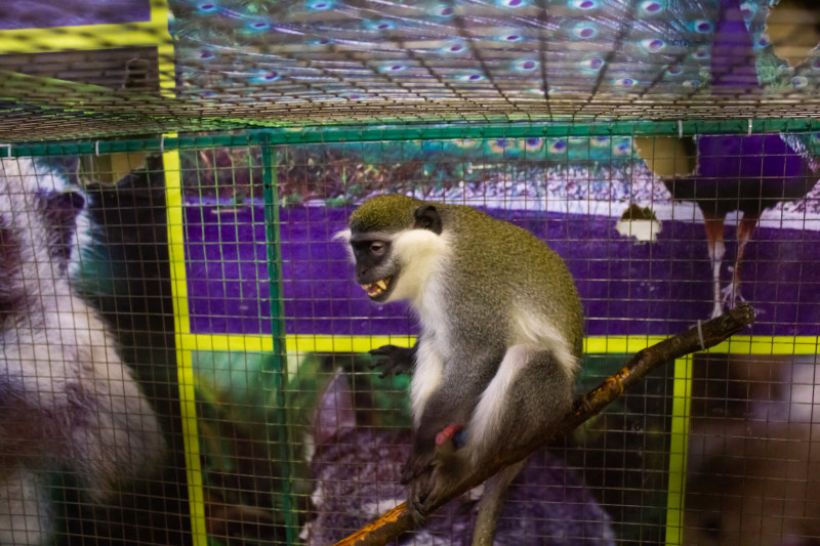  Фото:ТОЛК/Анна Меньшикова