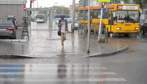 Дожди с грозами и жара до +34 градусов ждет Алтайский край на выходных