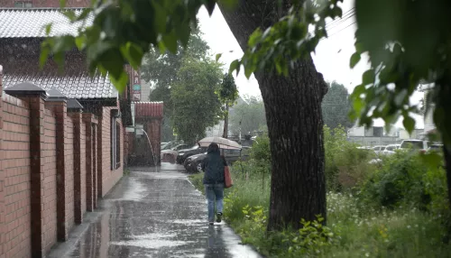 День прогулок под дождем. Снимки барнаульцев под дождливым небом