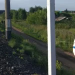 Грузовой поезд сбил пьяного мужчину в Алтайском крае
