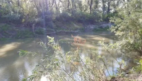 Десятилетний мальчик утонул в реке в Алтайском крае