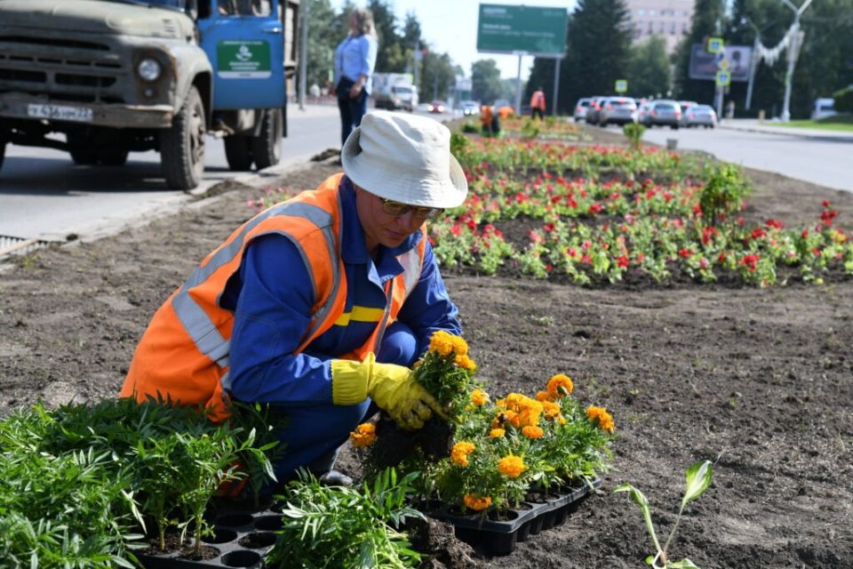 Озеленение на улице Молодежная, Барнаул