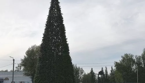 В Алейске в середине лета установили новогоднюю елку