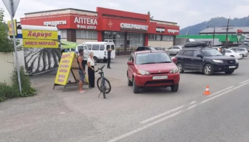 В Горном Алтае сбили велотуристку из другого региона
