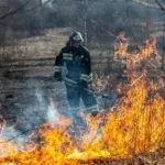 В 11 районах Алтайского края объявлен повышенный риск возникновения пожаров