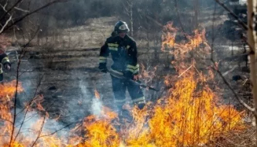В 11 районах Алтайского края объявлен повышенный риск возникновения пожаров
