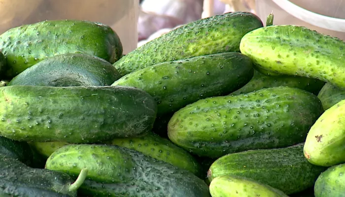 Дороже рыбы и курицы: взрывной рост цен на огурцы накрыл и Алтайский край
