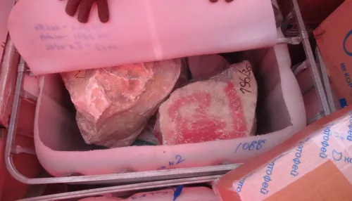 6,5 тонны белого нефрита на 400 млн задержали на границе Алтайского края