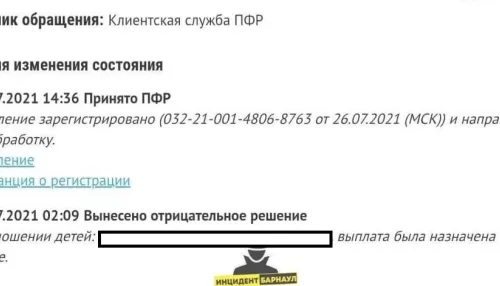 У вас двойник: жительница Барнаула не может оформить школьную выплату на ребенка
