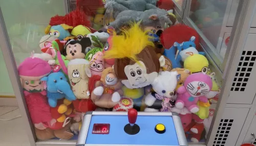 За счет заведения: барнаулец разнес автомат с игрушками ради любимой