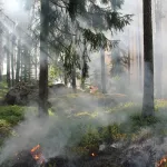 Смог от лесных пожаров добрался до Горного Алтая