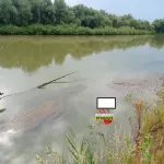 Тело неизвестного мужчины нашли в реке Алей под Рубцовском