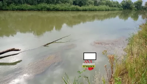 Тело неизвестного мужчины нашли в реке Алей под Рубцовском