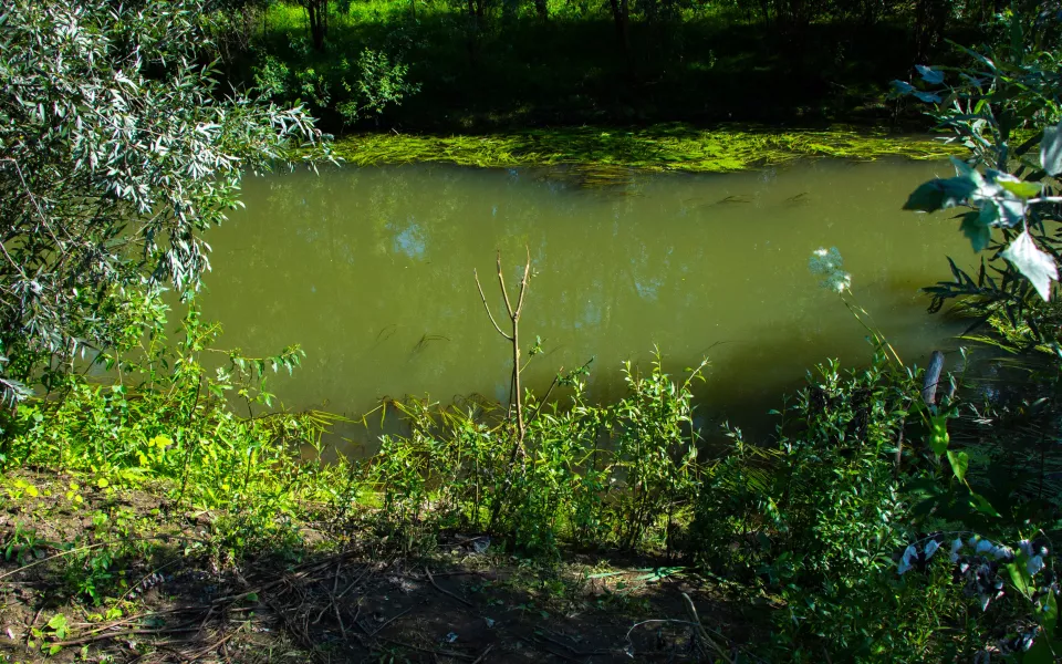 В Алтайском крае снизилось количество происшествий на воде